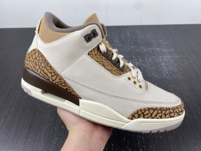 Air Jordan 3 “Palomino” CT8532-102