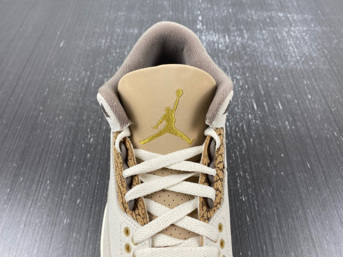 Air Jordan 3 “Palomino” CT8532-102