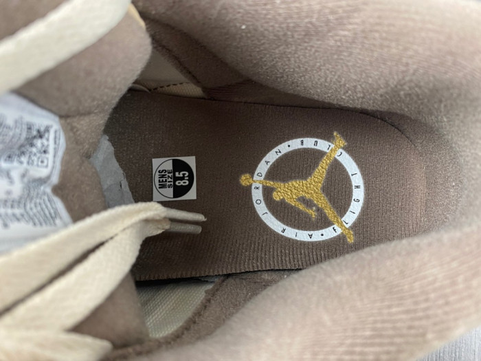 Air Jordan 3 “Palomino” CT8532-102